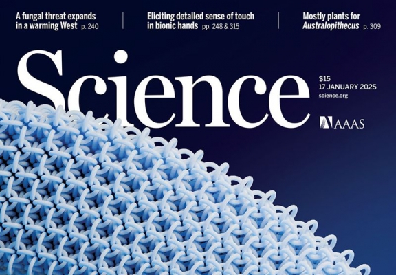 融合流体-固体双重特性-3D打印多连环构架材料（PAM）登上Science封面 ...