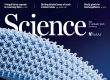 融合流体-固体双重特性-3D打印多连环构架材料（PAM）登上Science封面 ...