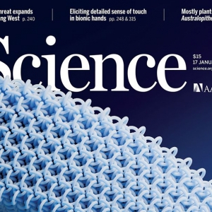 融合流体-固体双重特性-3D打印多连环构架材料（PAM）登上Science封面 ...